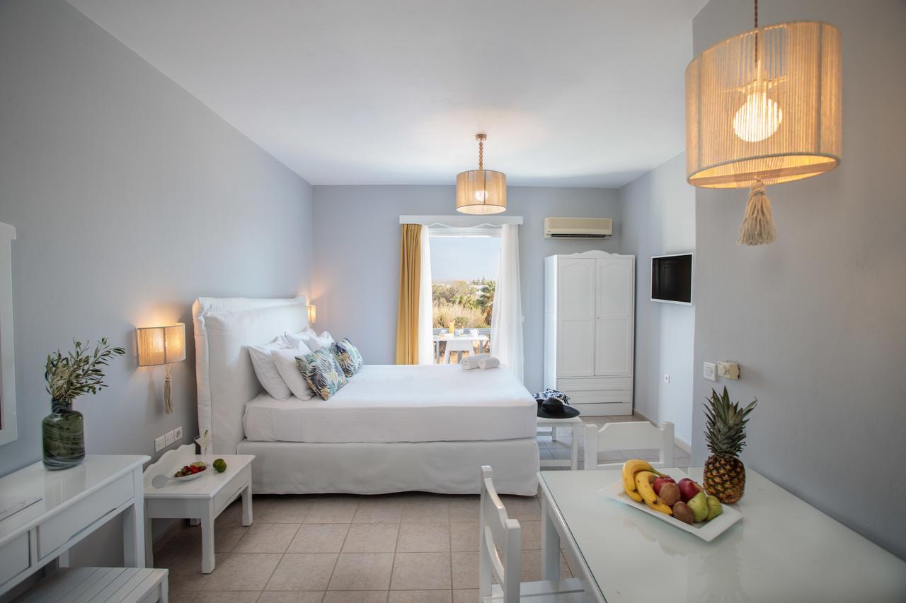 Ippokampos Beachfront Naxos City Extérieur photo